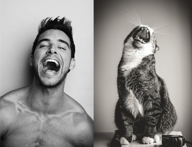 Cat Male Model